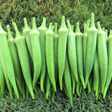 A1rHGe7oikS. AC SL1500 