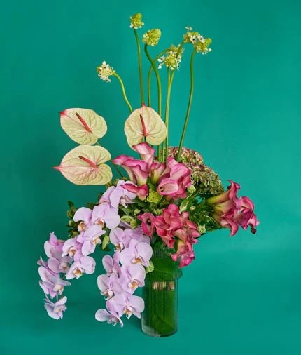 Buy Orchid Delivery Dubai.jpg