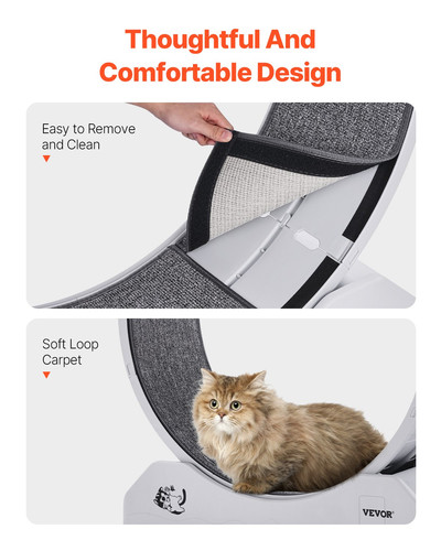 us%2FSLMPBJBSPP31K33DZV0%2Foriginal img v1%2Fcat exercise wheel f5.jpg