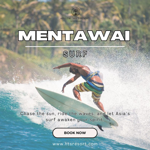 Mentawai Surf.jpg