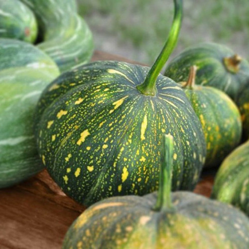 100 pumpkin seed 100 sree origin.jpg
