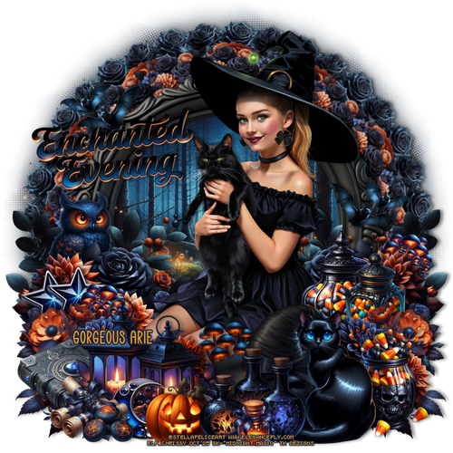  TK MidnightMagicbGorgeousArie vi.png