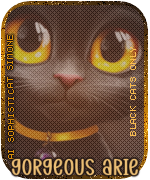  SS OnlyBlackCatsaGorgeousArie vi.png