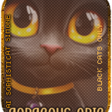  SS OnlyBlackCatsaGorgeousArie vi