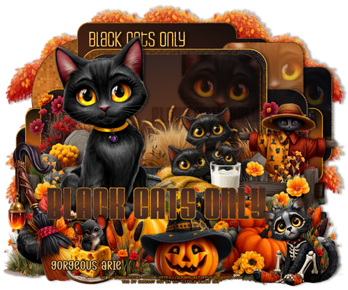  SS OnlyBlackCatsbGorgeousArie vi.png