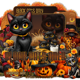  SS OnlyBlackCatsbGorgeousArie vi