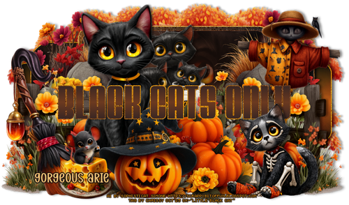  SS OnlyBlackCatscGorgeousArie vi.png