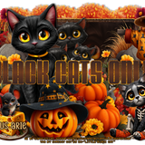  SS OnlyBlackCatscGorgeousArie vi