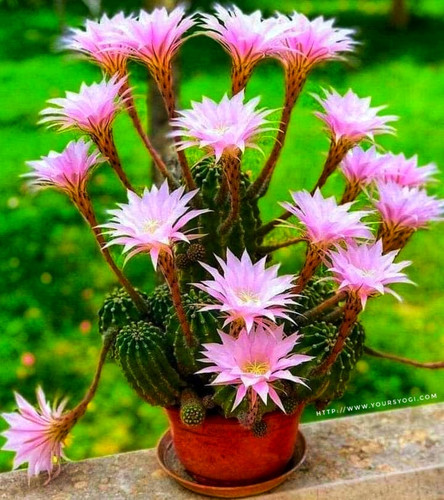 FB IMG 1627909893625 01.jpg