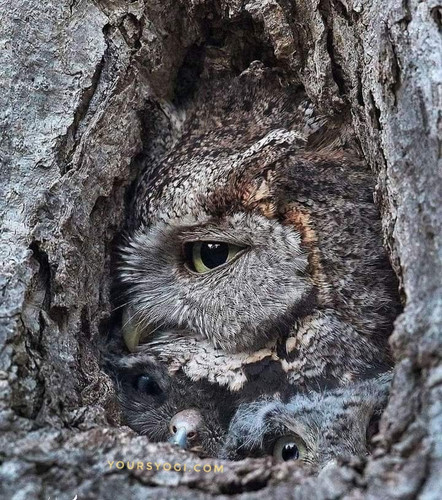 FB IMG 1625024792140 01.jpg