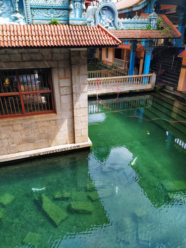 IMG 20210720 145814 01.jpg