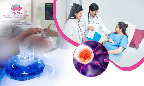 Leading IVF Specialist Doctor in Bangalore - Tamara Hospital & IVF Center.jpg