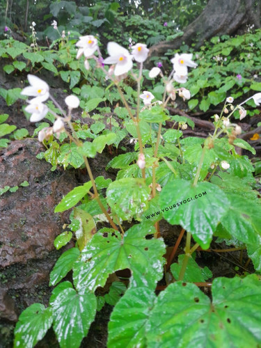 IMG 20210721 WA0054 01.jpg