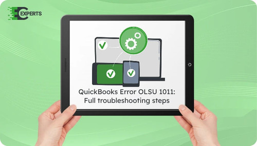 QuickBooks Error OLSU 1011.jpg