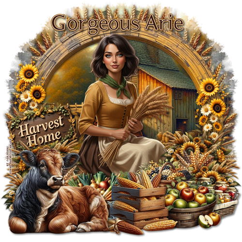 col5th 19ththnov gorgeousarie.png