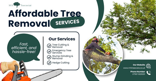 Affordable Tree Removal & Tree Care Services.1
