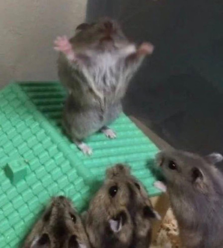 3dbef08d 9540 41cf b4fd 1399df09b3f2.jpg