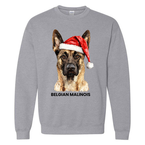 chrimsdogssw sgry 32 BELGIAN MALINOIS.jpg