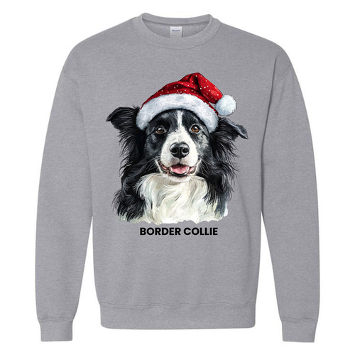 chrimsdogssw sgry 29 BORDER COLLIE.jpg