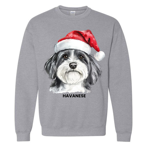 chrimsdogssw sgry 22 HAVANESE.jpg
