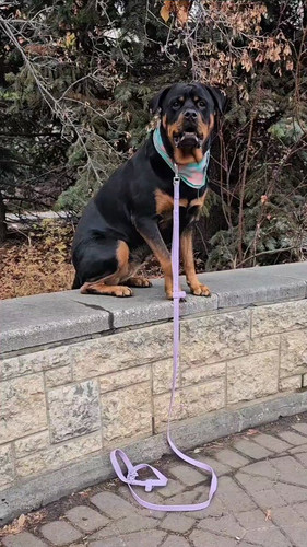 fQJnOTzIOnB3w 1u.jpg