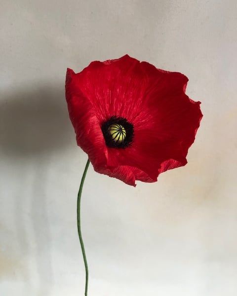 Paper flower red poppy.jpg