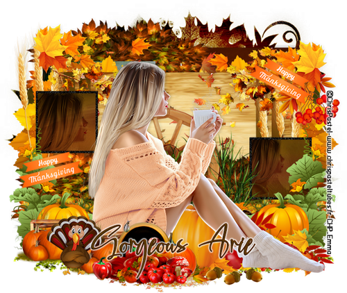 Gorgeous Arie 2025Thanksgiving CP