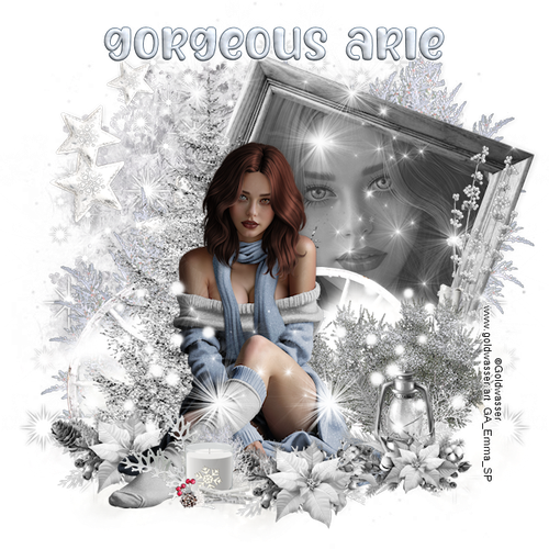 Gorgeous Arie 2025Winter Spiced GW.png