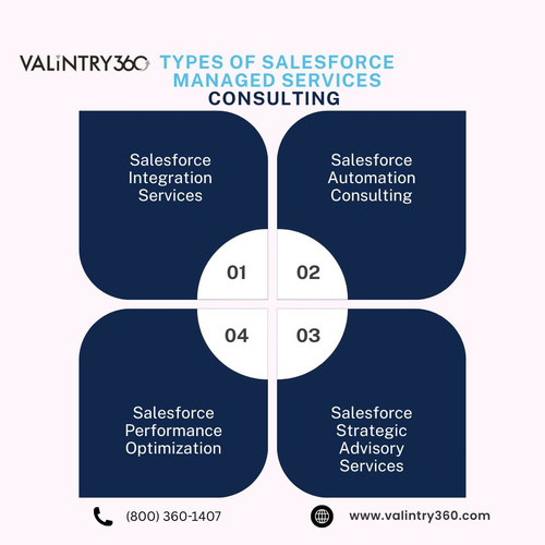 Types of Salesforce Managed Services Consulting_.jpg