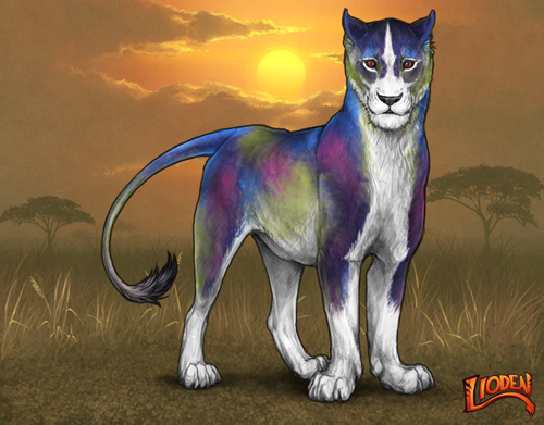 lioden wardrobe 2025 11 10T170341.885.png