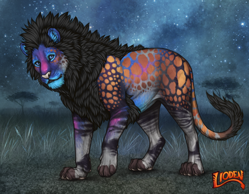 lioden wardrobe 2025 11 10T164552.875.png