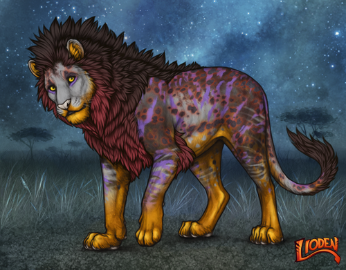 lioden wardrobe 2025 11 10T165808.402.png