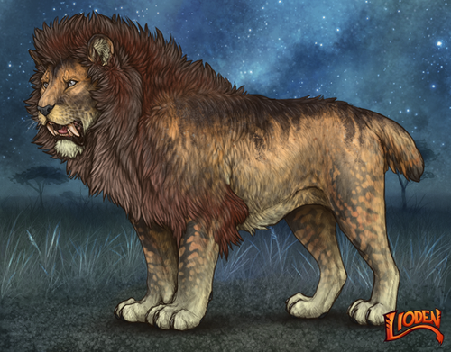 lioden wardrobe 2025 11 10T164212.896.png