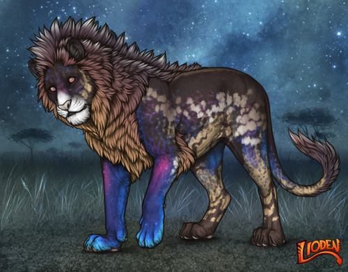 lioden wardrobe 2025 11 10T165054.759.png