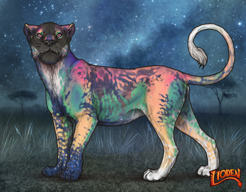 lioden wardrobe 2025 11 10T164719.875.png