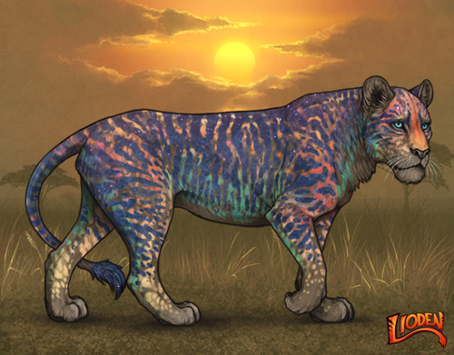 lioden wardrobe 2025 11 10T170507.828.png