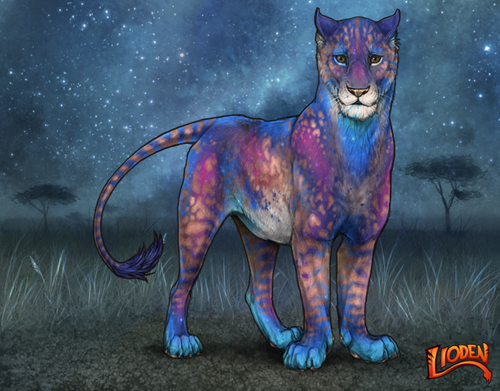 lioden wardrobe 2025 11 10T170001.878.png