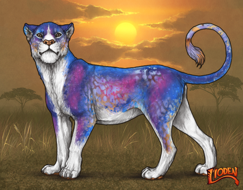 lioden wardrobe 2025 11 10T170217.914.png