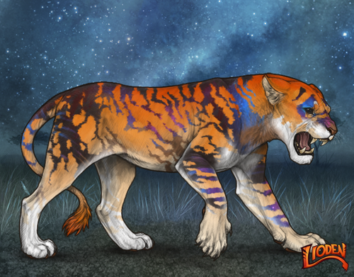 lioden wardrobe 2025 11 10T165210.799.png