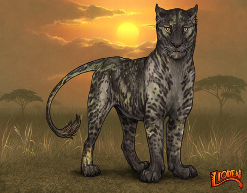 lioden wardrobe 2025 11 10T170932.726.png