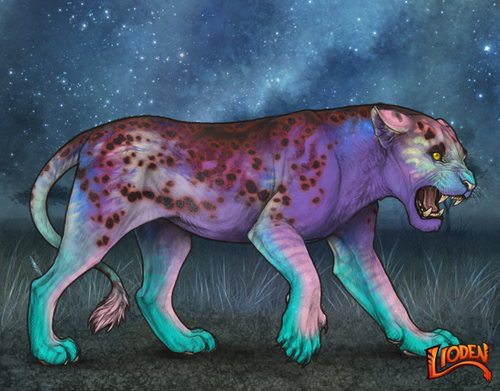 lioden wardrobe 2025 11 10T165342.881.png