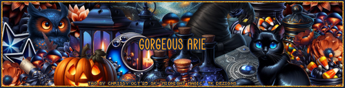  TK MidnightMagiccGorgeousArie1 vi.png