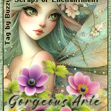 hantedHollowAGorgeousArieBuzzy vi