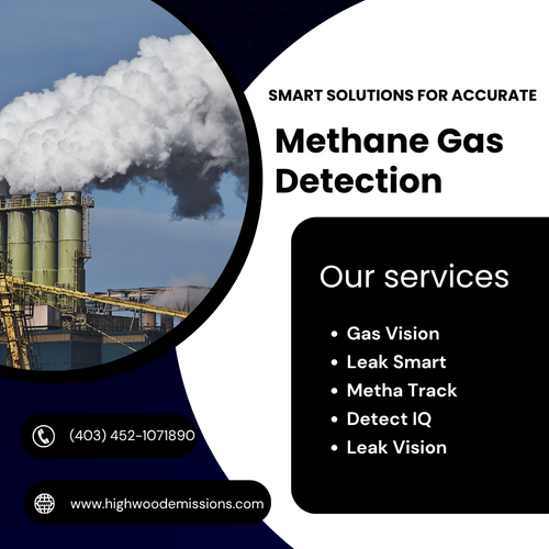 Smart Solutions for Accurate Methane Gas Detection.png