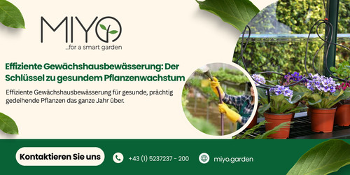 BewÃ¤sserung Im GewÃ¤chshaus.jpg