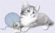 kitty funicon1.jpg