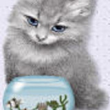 SVkittyfunicon2