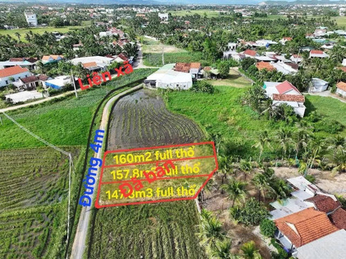 581940213 25036022689391862 2631914506266850878 n.jpg