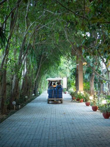 Enjoy the Best Riverside Resort in Jim Corbett.jpg