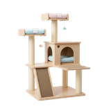 คอนโดแมว